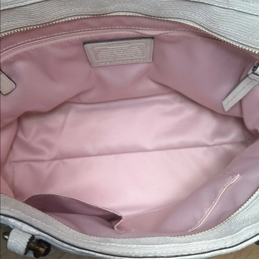 Coach Alexandra Python Straw Tote - Picture 11 of 13